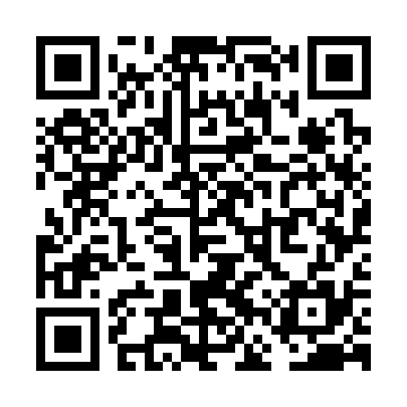 QR code for VFW335