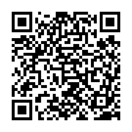 QR code for VFW663