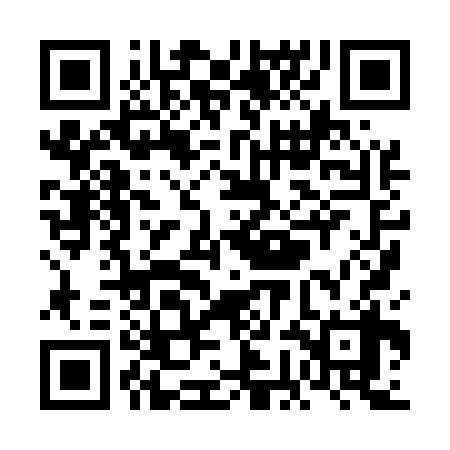 QR code for VGH538