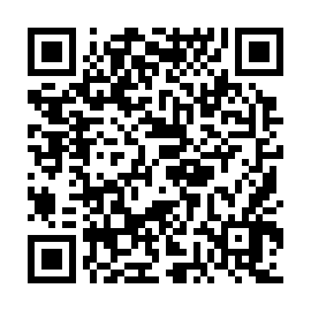 QR code for VGI346