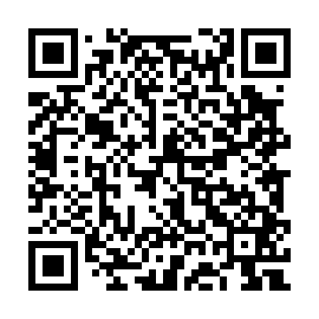 QR code for VGL041
