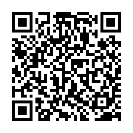 QR code for VHS295