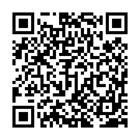 QR code for VIJ417