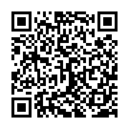 QR code for VIL550