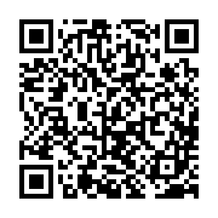 QR code for VIP383