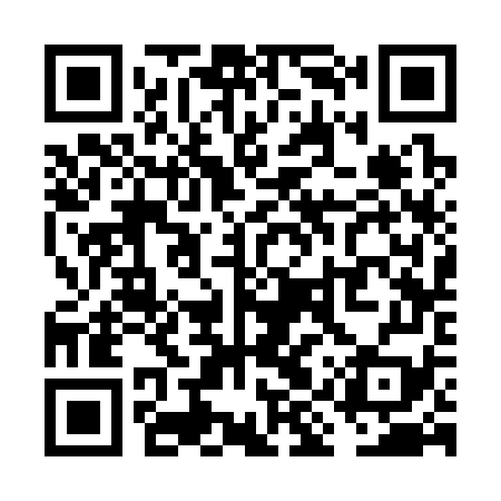 QR code for VIS379