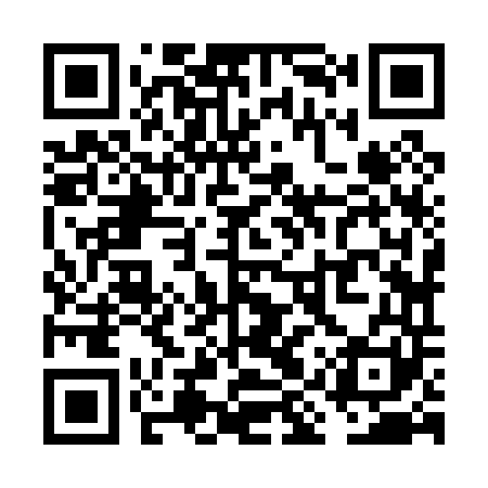 QR code for VIZ041