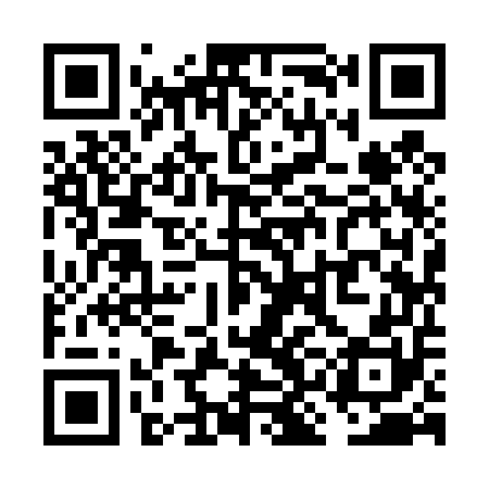 QR code for VKI450