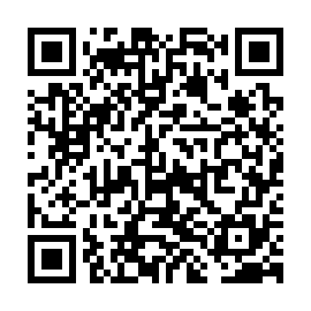 QR code for VLG375