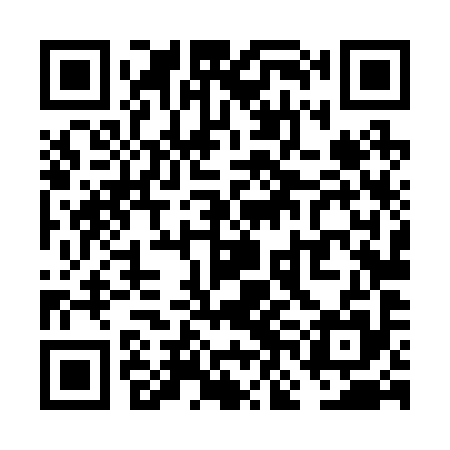 QR code for VNL295