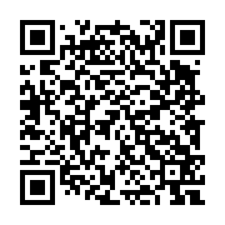 QR code for VNL463