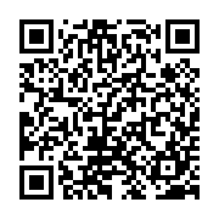 QR code for VNS004