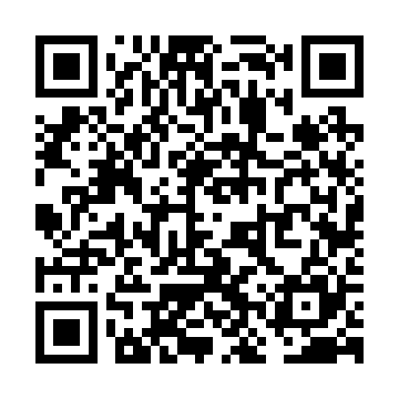 QR code for VNV225