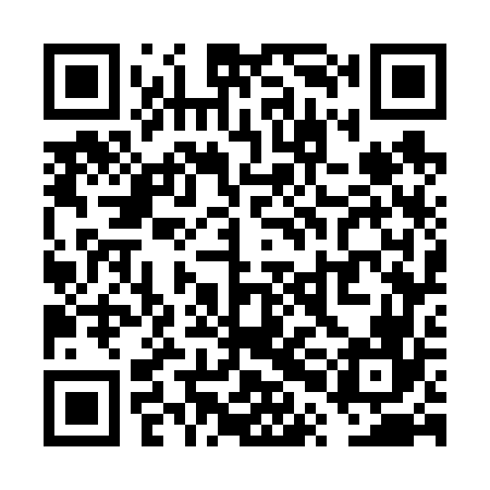 QR code for VPG666