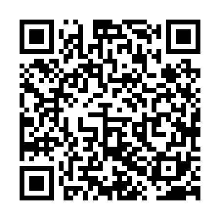 QR code for VPH271