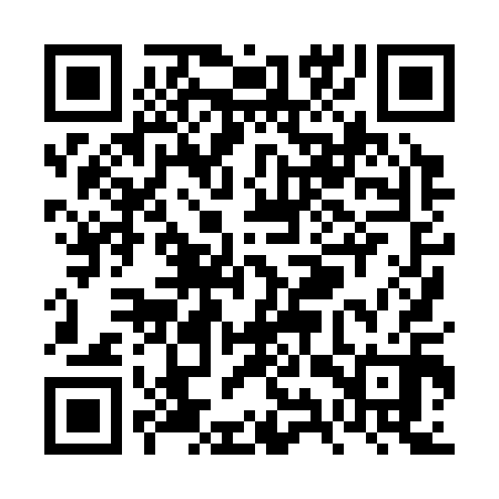 QR code for VYX310