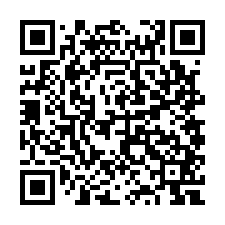 QR code for VZF141