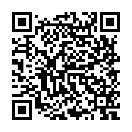 QR code for VZP955