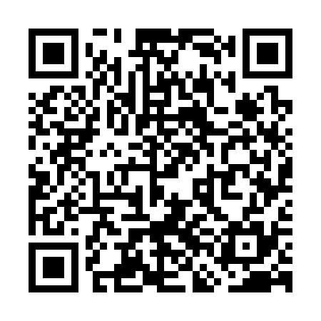 QR code for WFG335