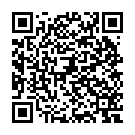 QR code for WFS256