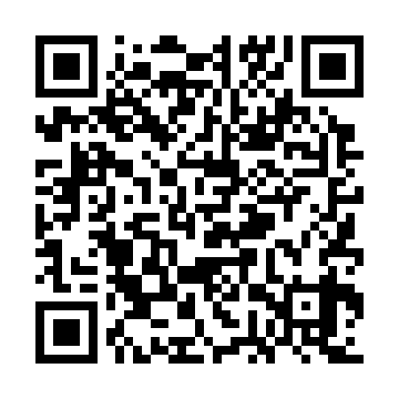 QR code for WGT339
