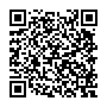 QR code for WII489
