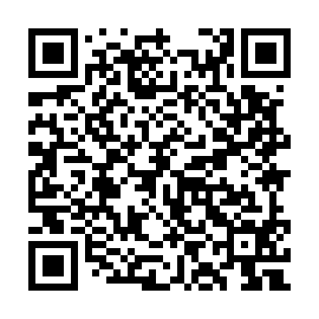 QR code for WII594