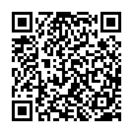 QR code for WIP155
