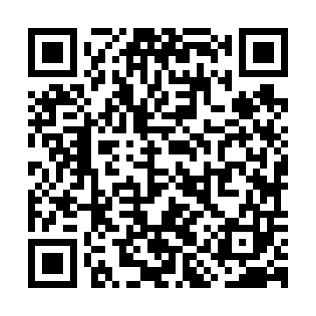 QR code for WIZ603