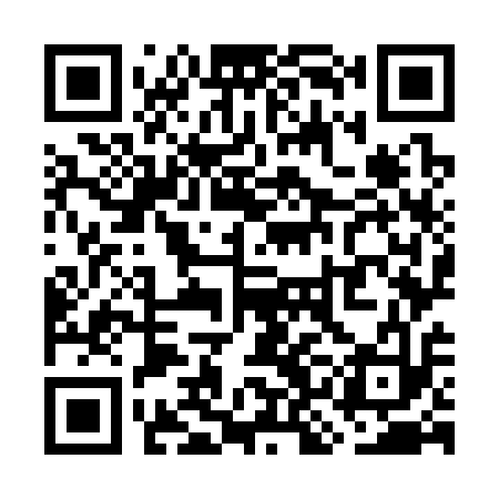 QR code for WKO313