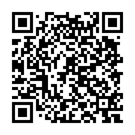 QR code for WMX411