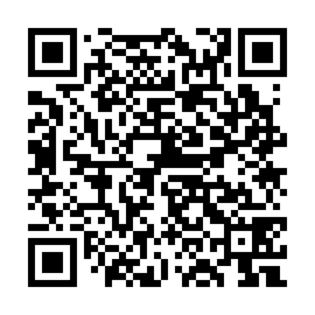 QR code for WOK378