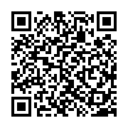 QR code for WPH538