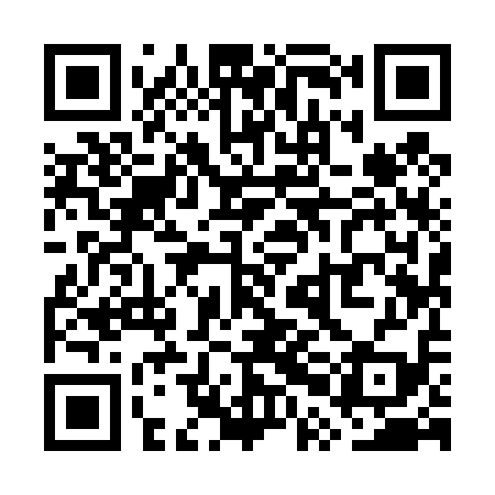 QR code for WPI419