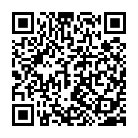 QR code for WXQ519