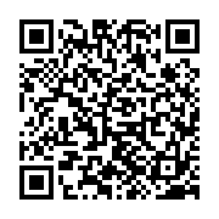 QR code for WZF133