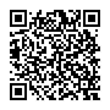 QR code for WZK397