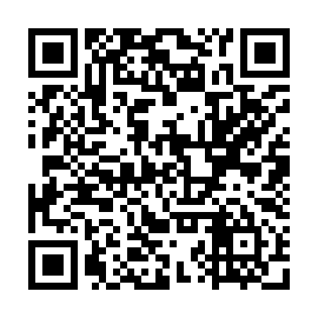 QR code for WZS995