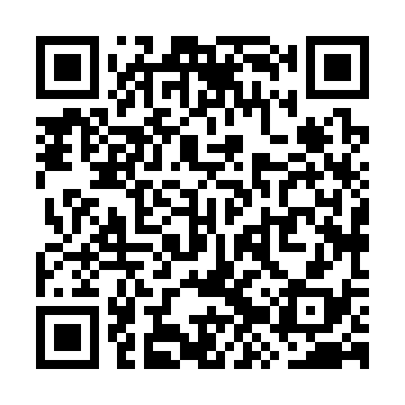 QR code for WZX338