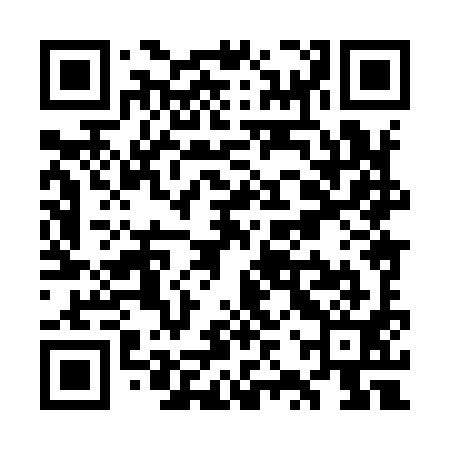 QR code for WZX991