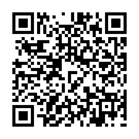 QR code for XDI373