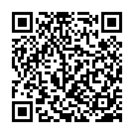 QR code for XDM010
