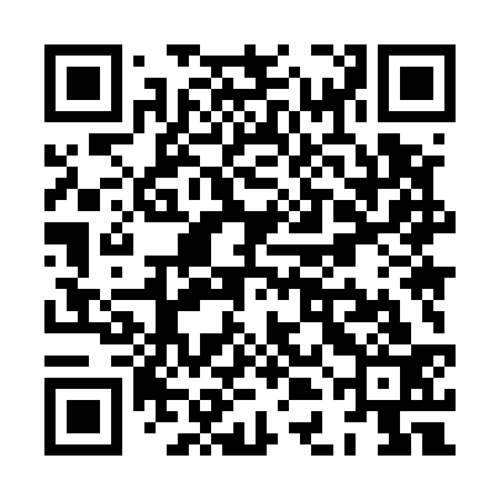 QR code for XDM533
