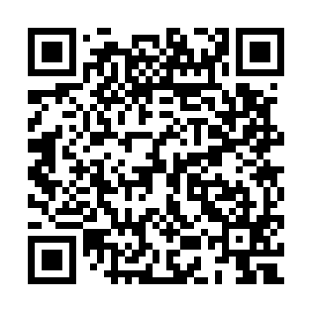 QR code for XES595