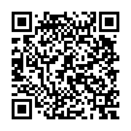 QR code for XFX411