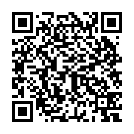 QR code for XGR239