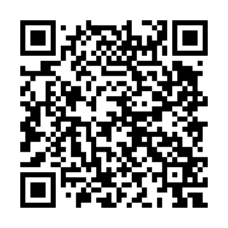 QR code for XIX463