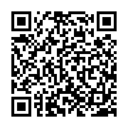 QR code for XJD533