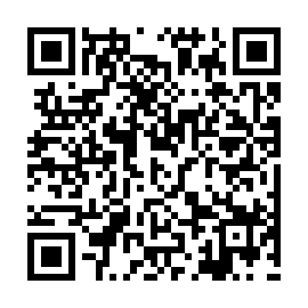 QR code for XJF399