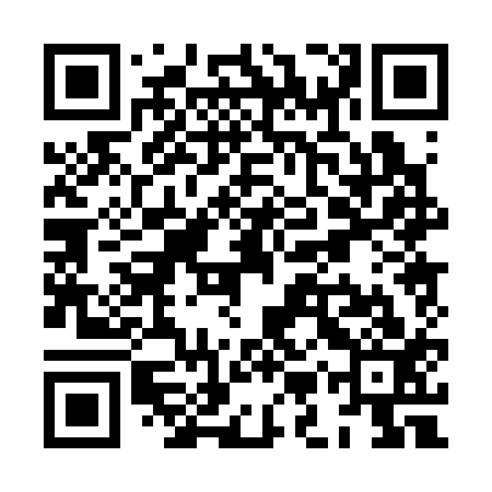 QR code for XMP313